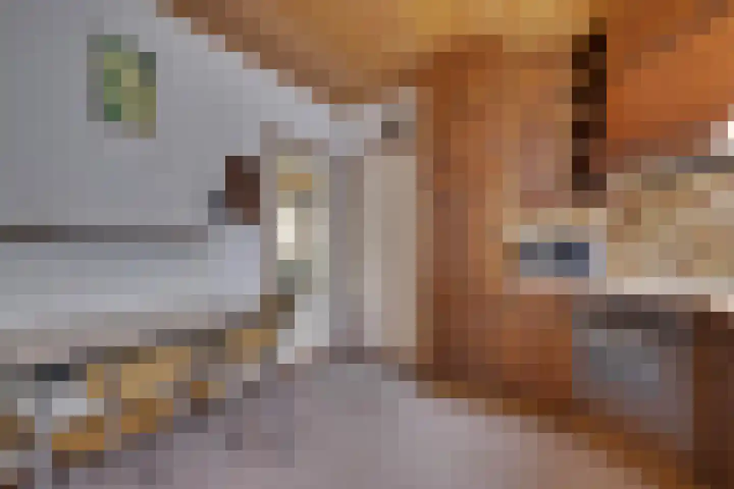 Kampstraat 26 Zevenaar thumbnail 15