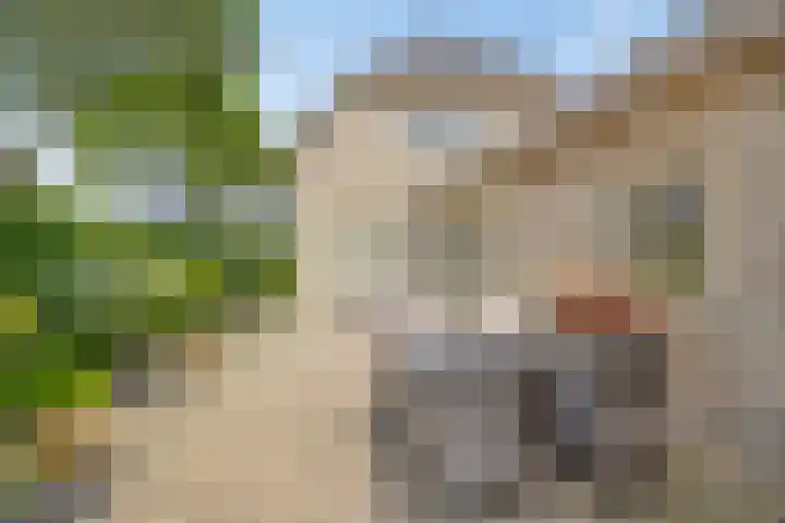 Kampstraat 27 Appeltern thumbnail 32