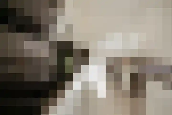 Kampstraat 28 Susteren thumbnail 26