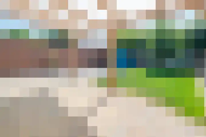 Kampstraat 28 Susteren thumbnail 29