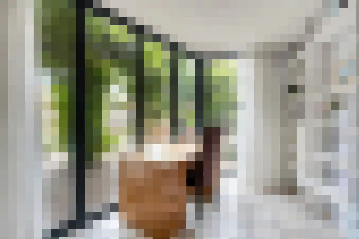 Kampstraat 36 A Steenwijk thumbnail 12