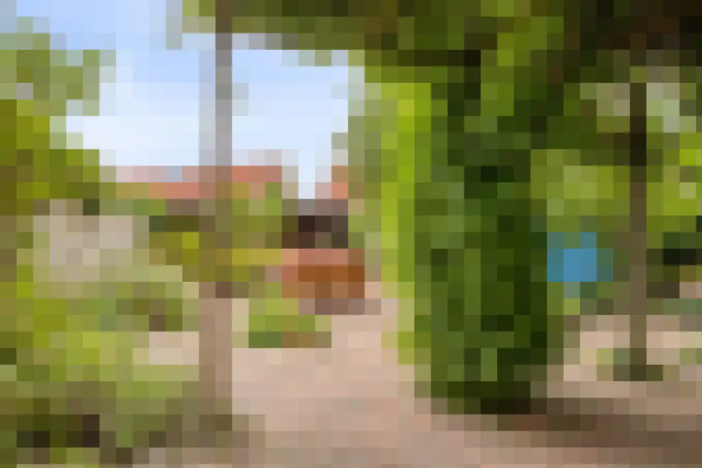 Kampstraat 36 A Steenwijk thumbnail 35