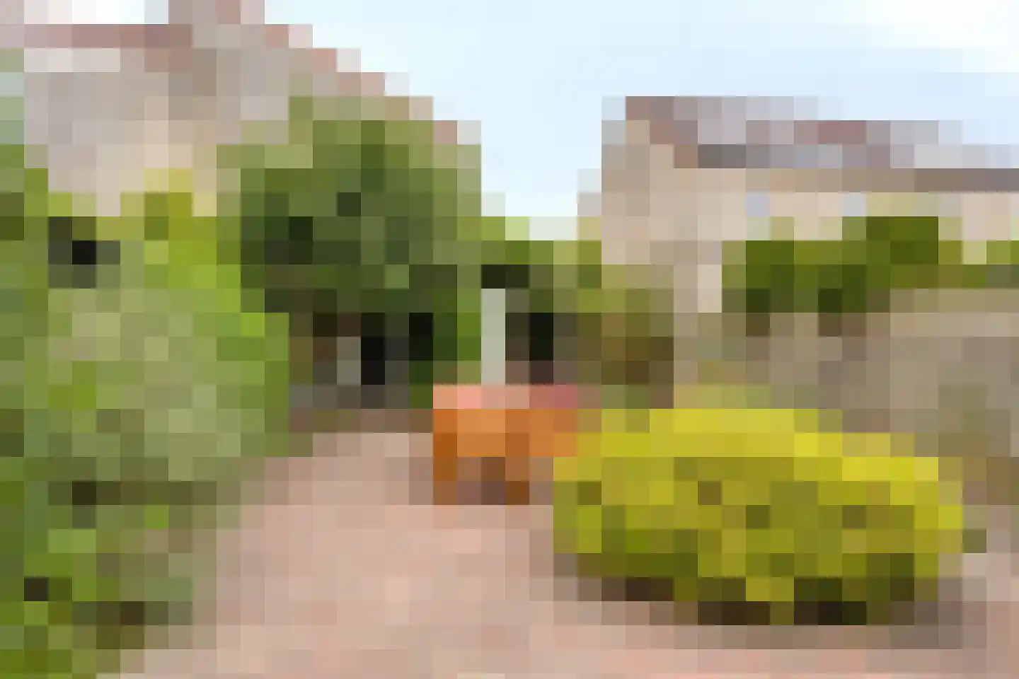 Kampstraat 36 A Steenwijk thumbnail 38