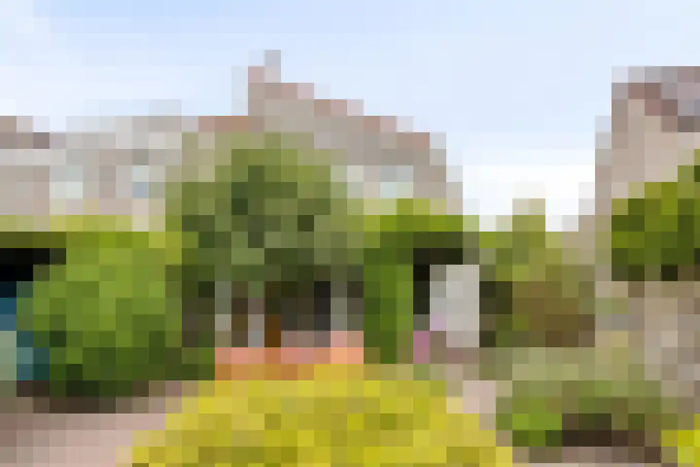 Kampstraat 36 A Steenwijk thumbnail 39