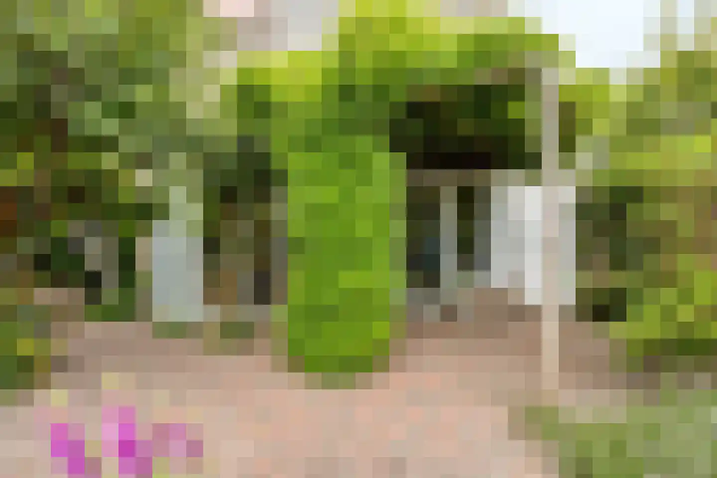 Kampstraat 36 A Steenwijk thumbnail 40
