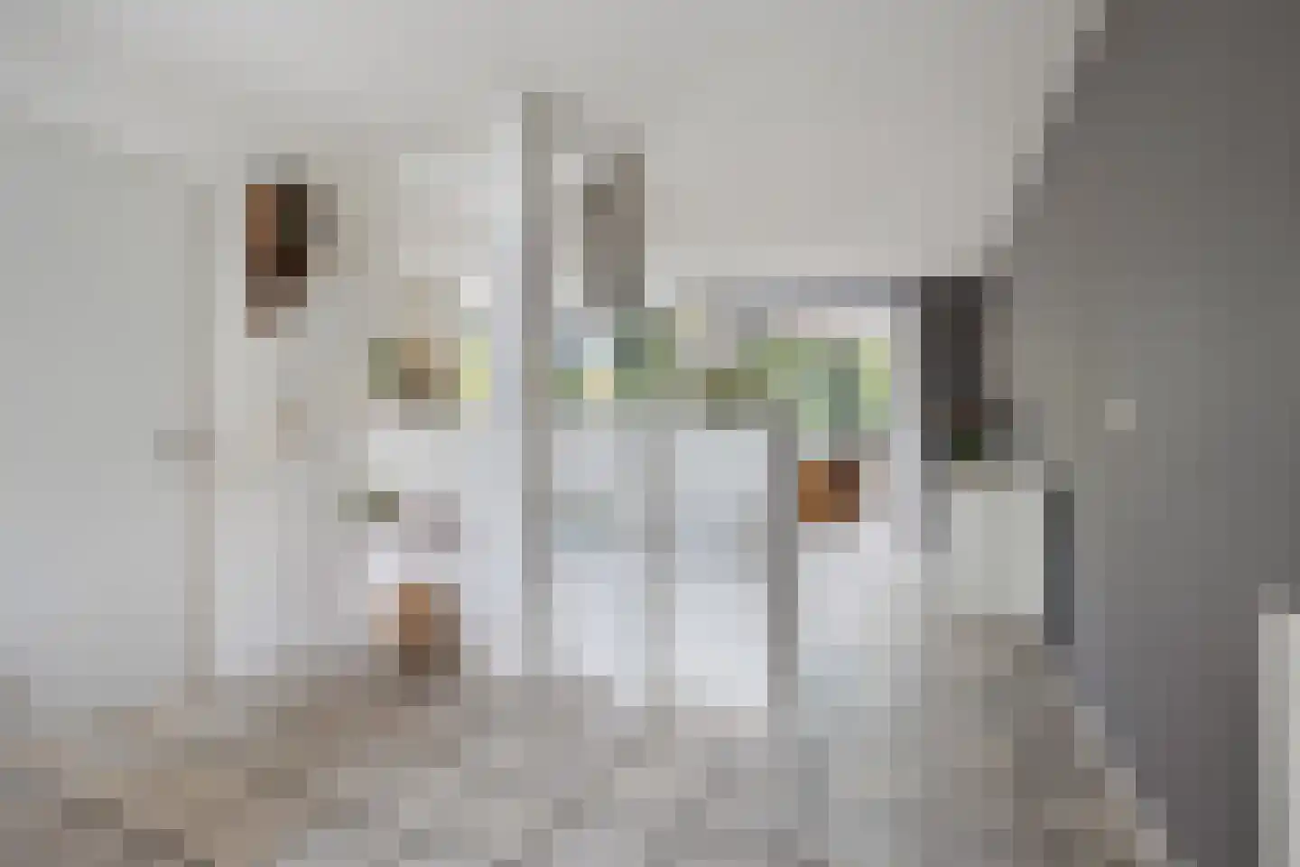 Kampstraat 36 A Steenwijk thumbnail 8