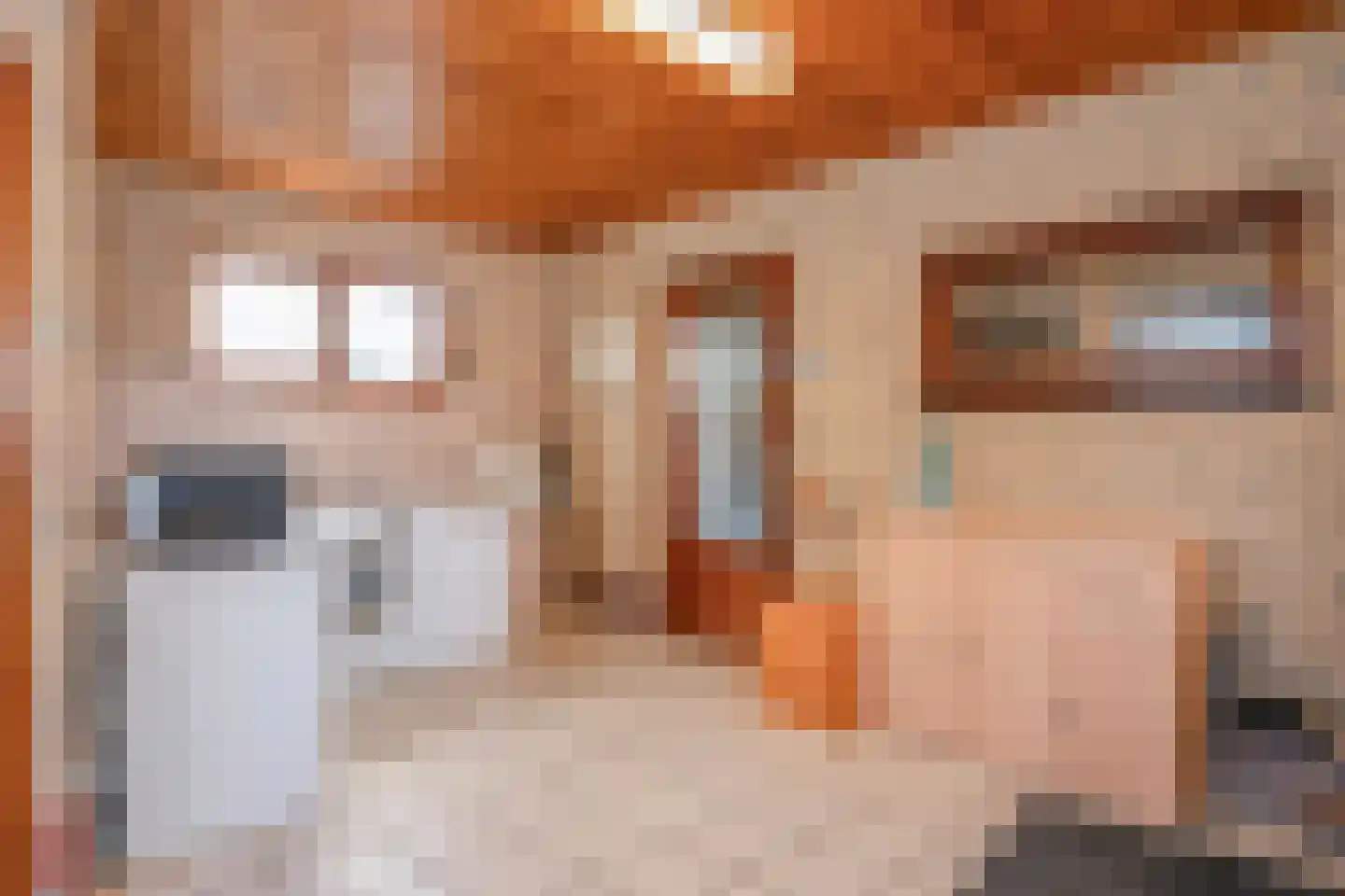 Kampstraat 37 Susteren thumbnail 20