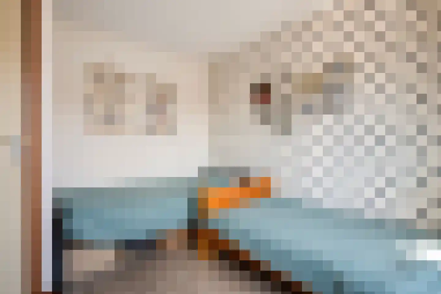 Kampstraat 37 Susteren thumbnail 34