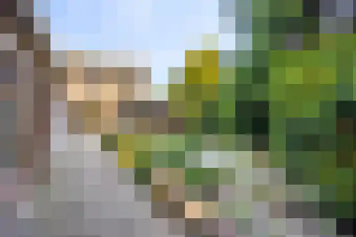 Kampstraat 43 Someren thumbnail 30