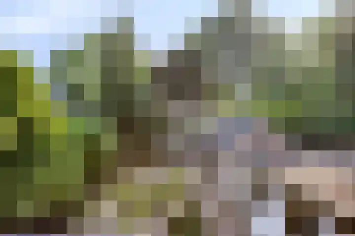 Kampstraat 43 Someren thumbnail 31