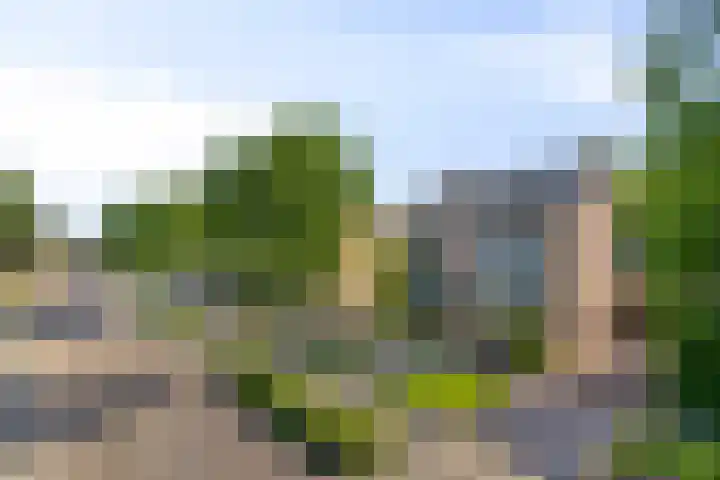 Kampstraat 43 Someren thumbnail 42