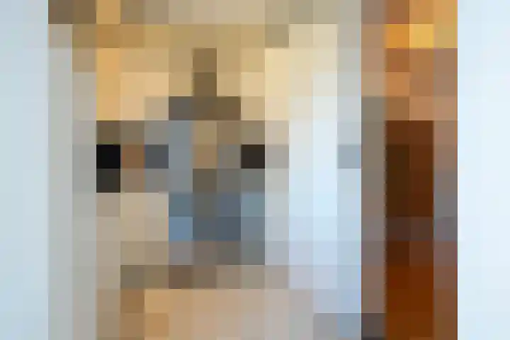 Kampstraat 45 Heerlen thumbnail 6