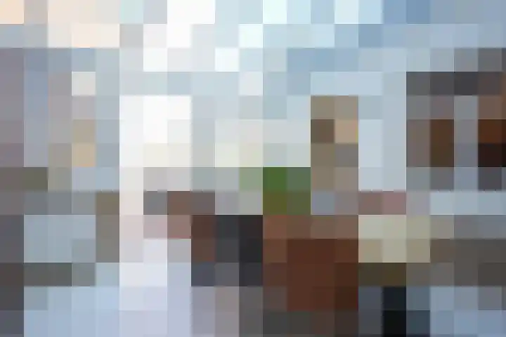 Kampstraat 45 Heerlen thumbnail 8