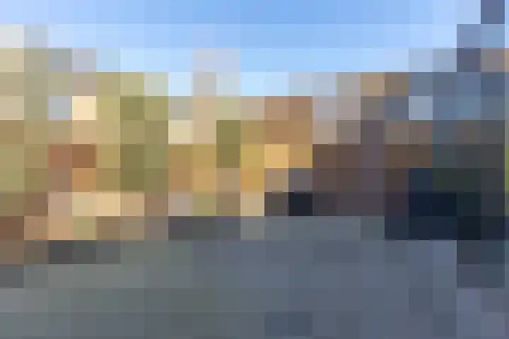 Kampstraat 6 Buchten thumbnail 24