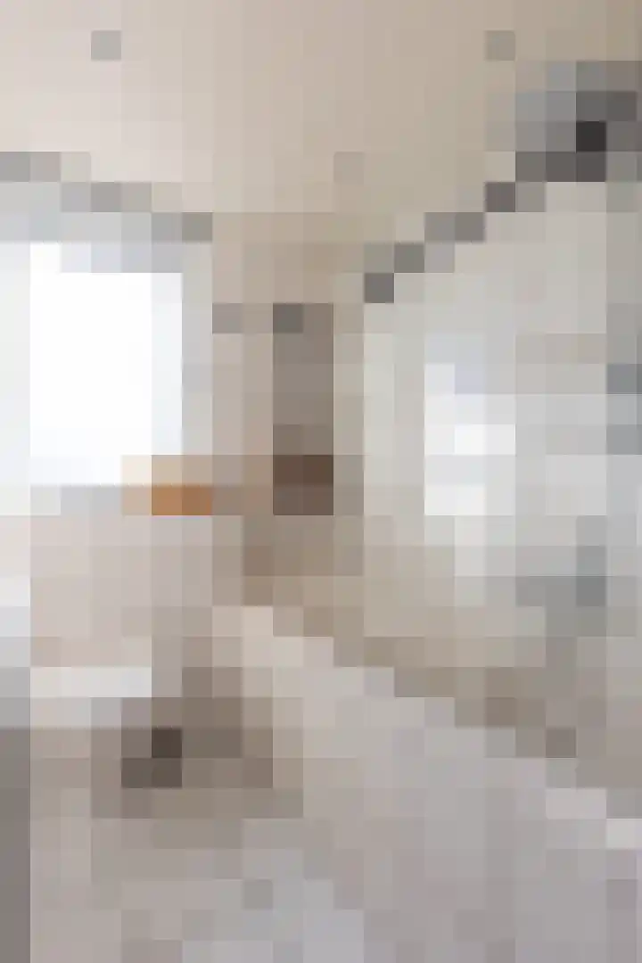 Kampstraat 6 Buchten thumbnail 36