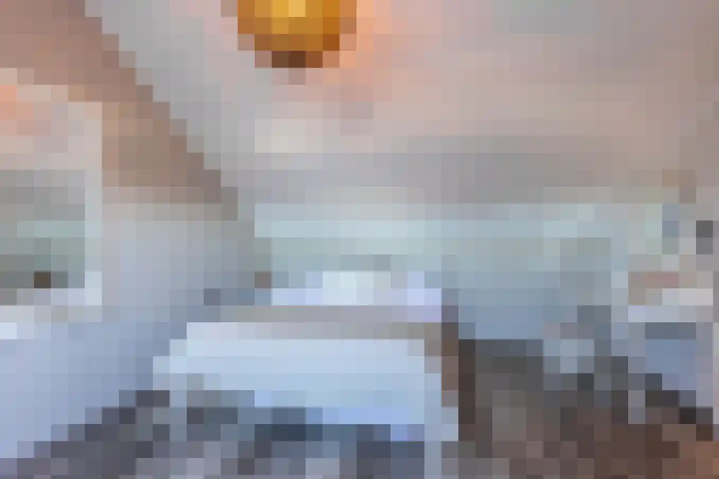 Kampstraat 6 Buchten thumbnail 39