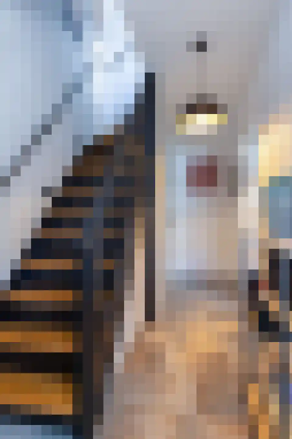 Kampstraat 6 Buchten thumbnail 6