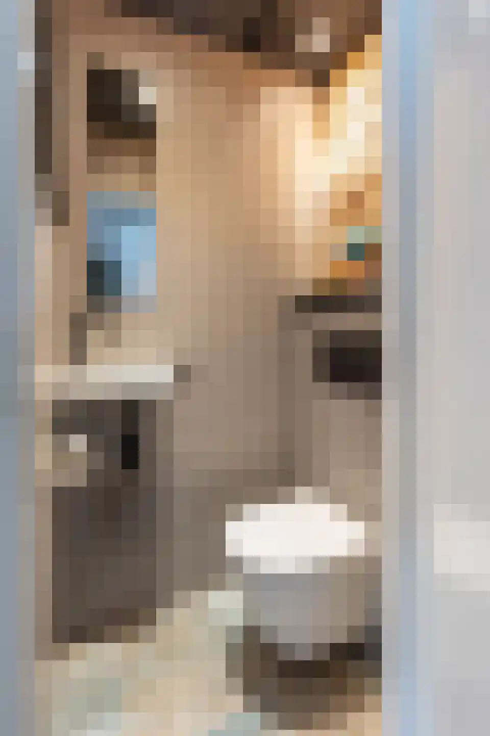 Kampstraat 6 Buchten thumbnail 7