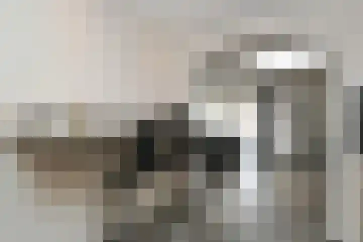 Kampstraat 7 Beegden thumbnail 5