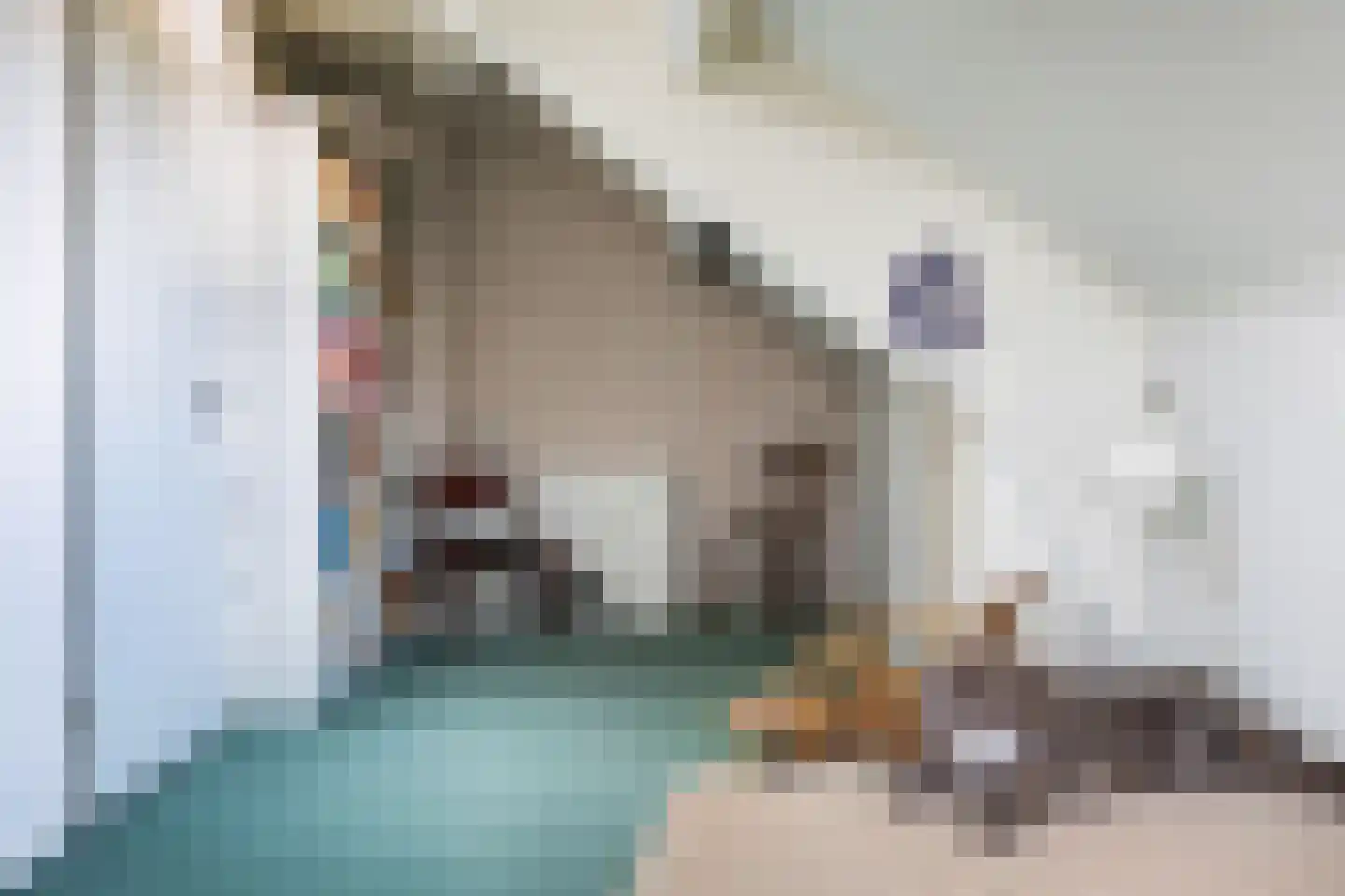 Kampstraat 7 Beilen thumbnail 33