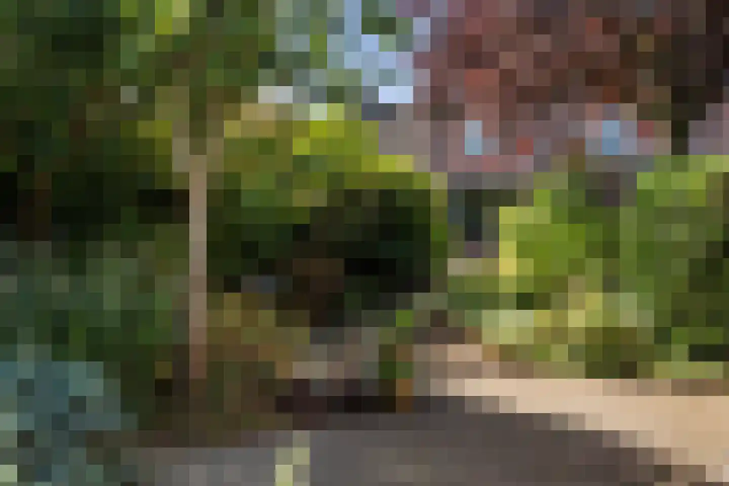 Kampstraat 7 Beilen thumbnail 36