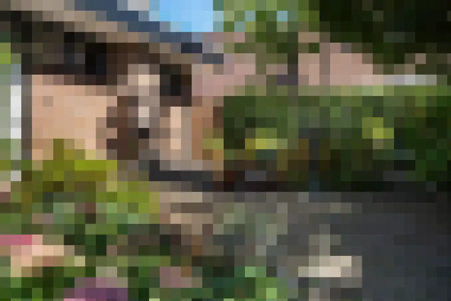 Kampstraat 7 Beilen thumbnail 40