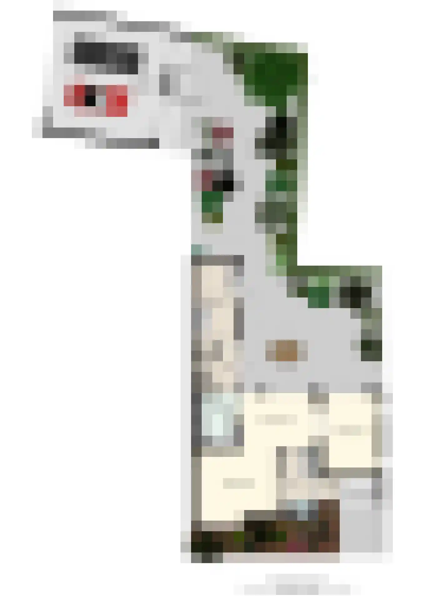 Kampstraat 7 Beilen thumbnail 43