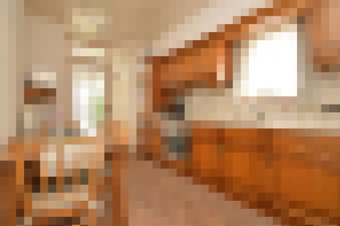 Kampstraat 7 Milheeze thumbnail 5