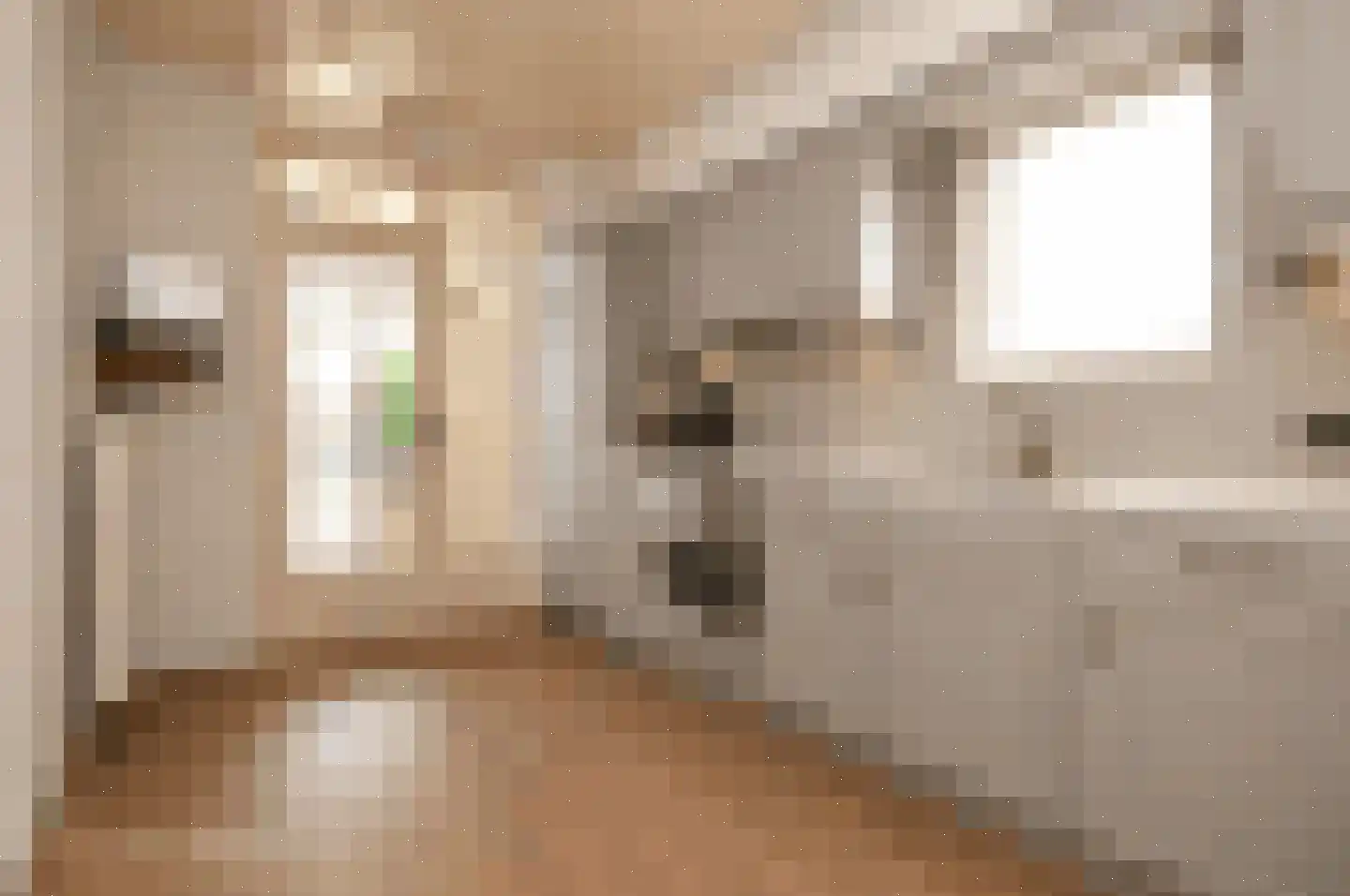 Kampstraat 7 Milheeze thumbnail 6