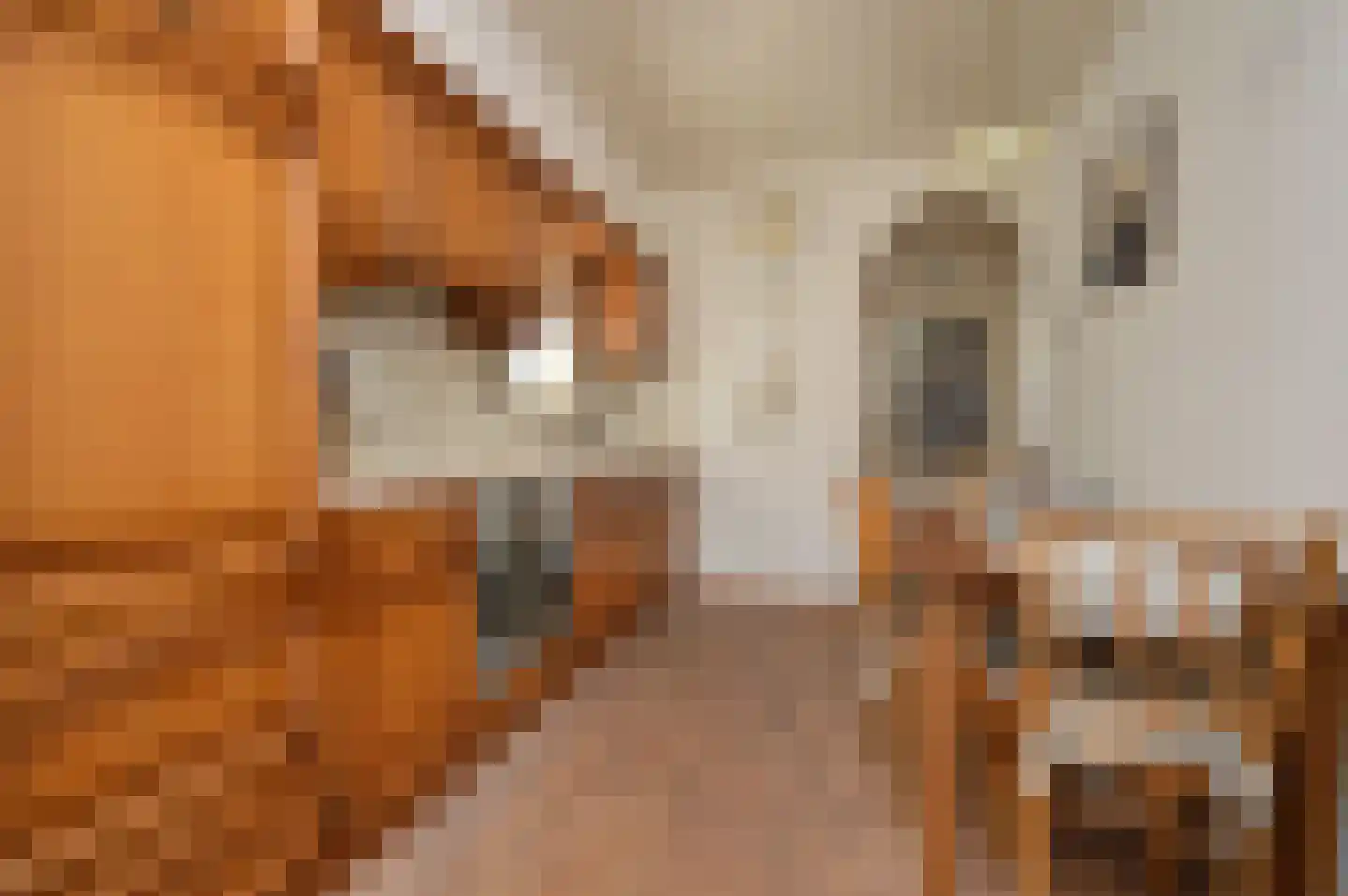 Kampstraat 7 Milheeze thumbnail 7