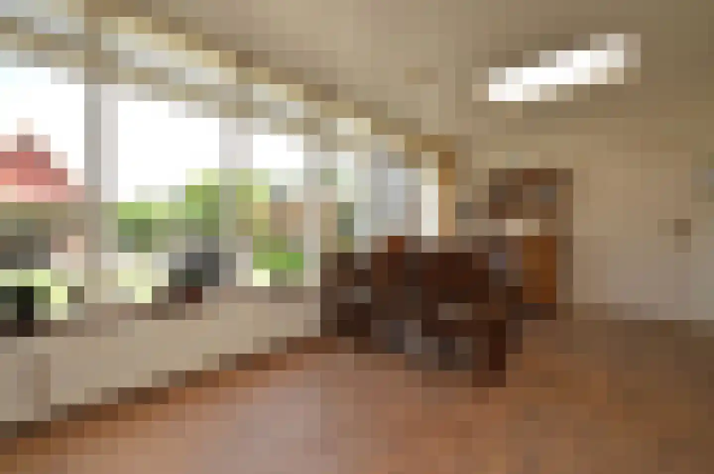 Kampstraat 7 Milheeze thumbnail 9