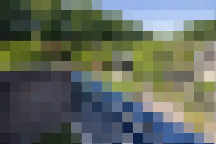 Kampstraat 7 Ootmarsum thumbnail 17