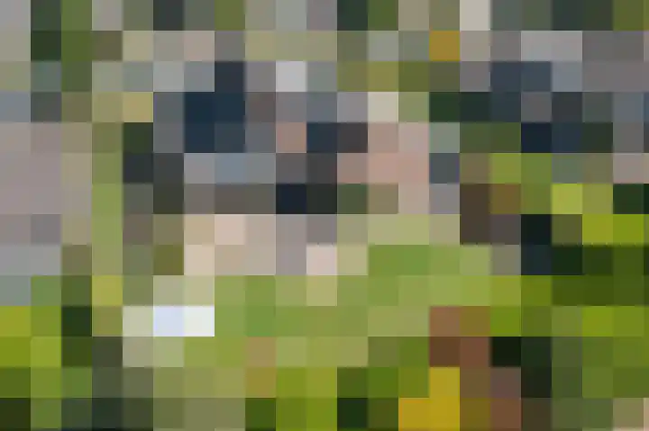 Kampstraat 7 Ootmarsum thumbnail 19