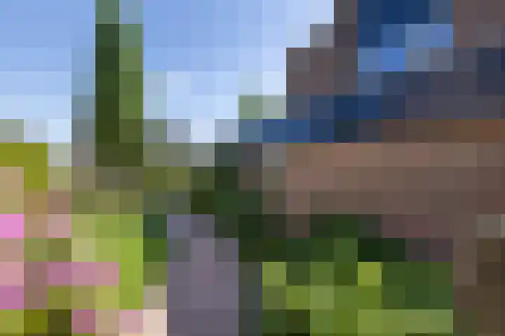 Kampstraat 7 Ootmarsum thumbnail 23
