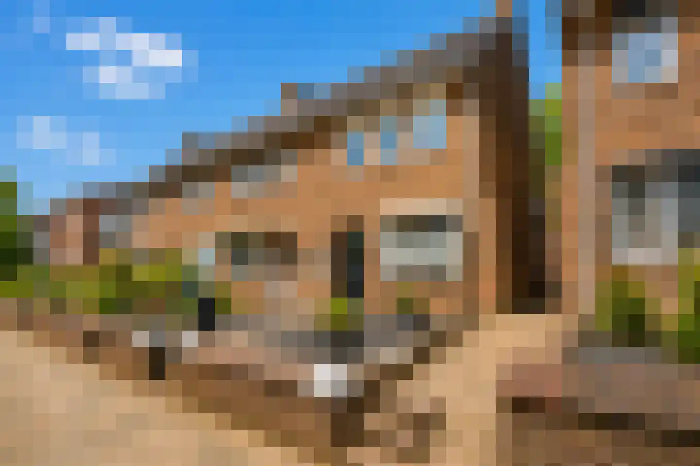 Kampstraat 72 Heerlen thumbnail 24
