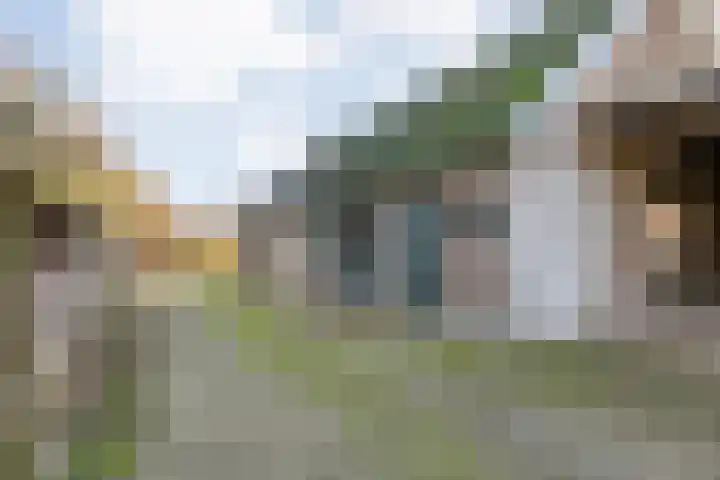 Kampstraat 8 Beilen thumbnail 49