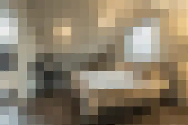 Kampstraat 9 Susteren thumbnail 11