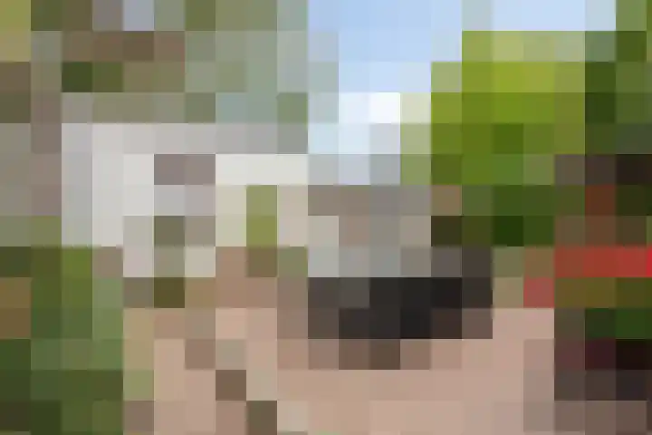 Kampstraat 90 Kerkrade thumbnail 27