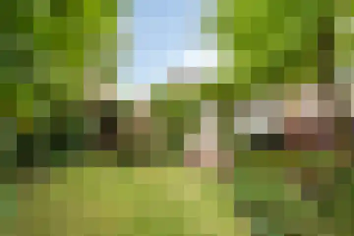 Kampstraat 90 Kerkrade thumbnail 31