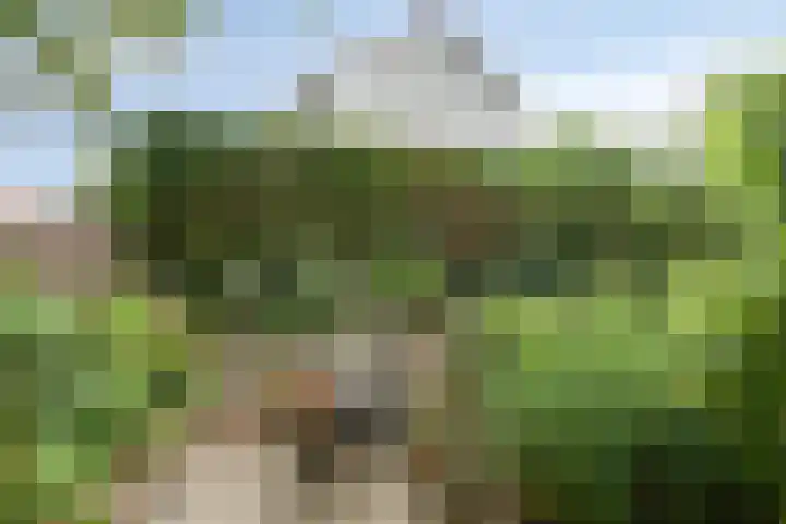Kampstraat 90 Kerkrade thumbnail 34