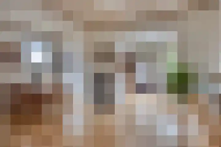 Kampstraat 90 Kerkrade thumbnail 8