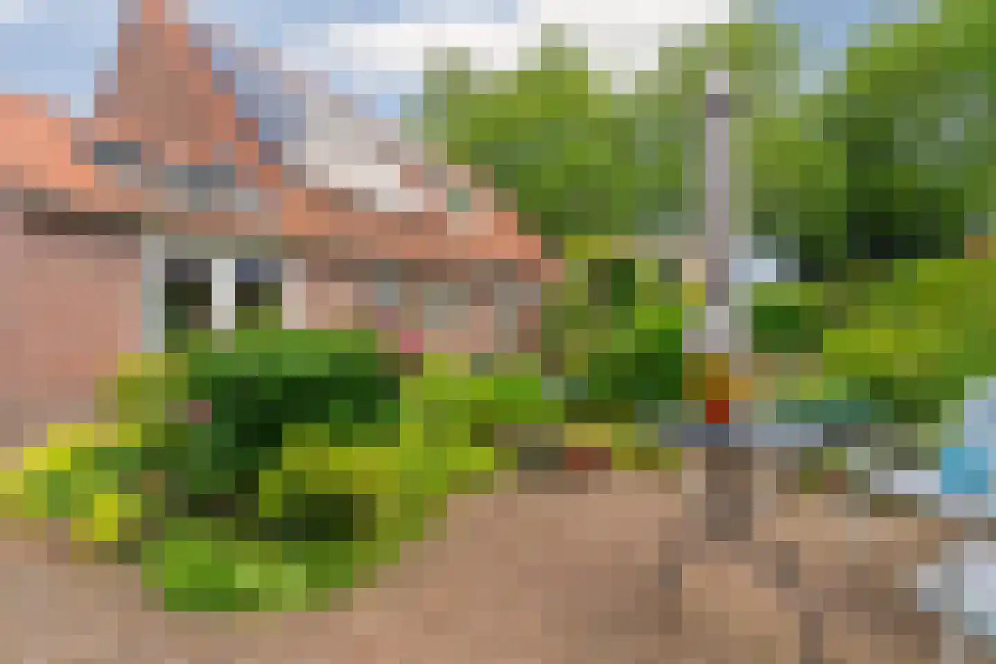 Kampstuk 12 in Huissen