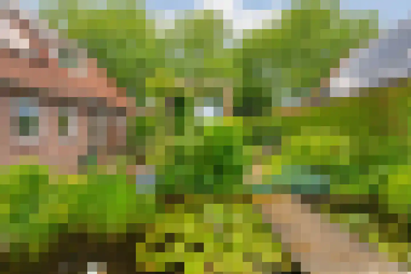 Kampstuk 12 Huissen thumbnail 39