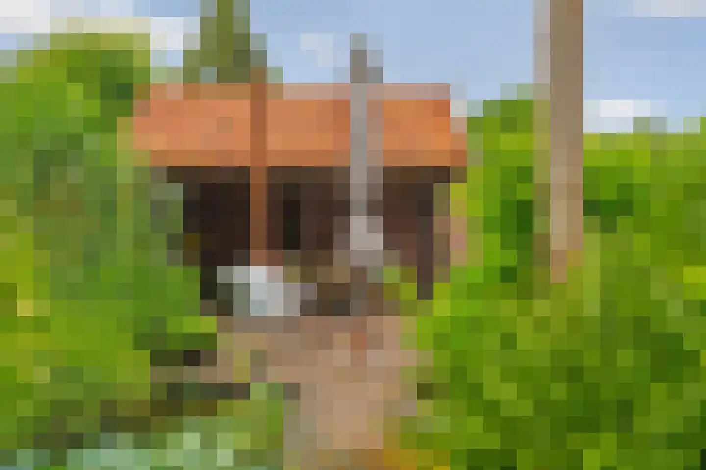Kampstuk 12 Huissen thumbnail 41