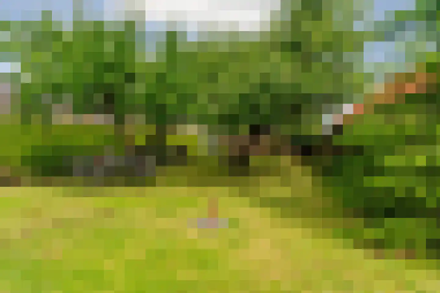 Kampstuk 12 Huissen thumbnail 46