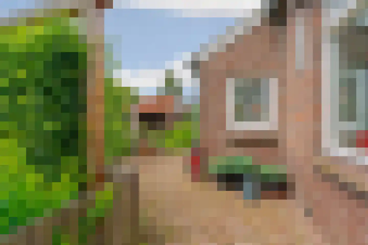 Kampstuk 12 Huissen thumbnail 55