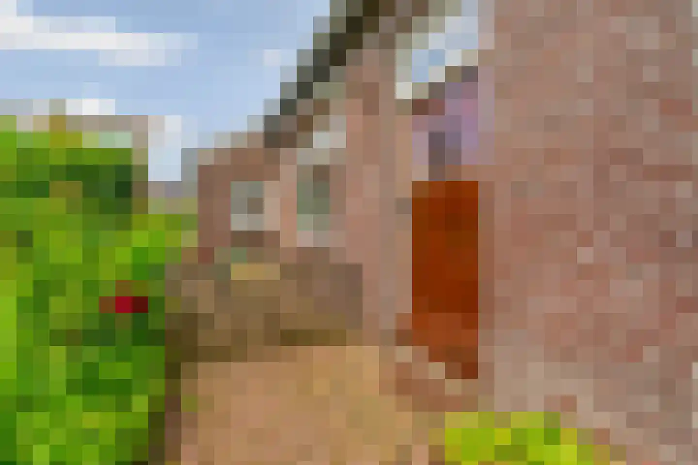 Kampstuk 12 Huissen thumbnail 56