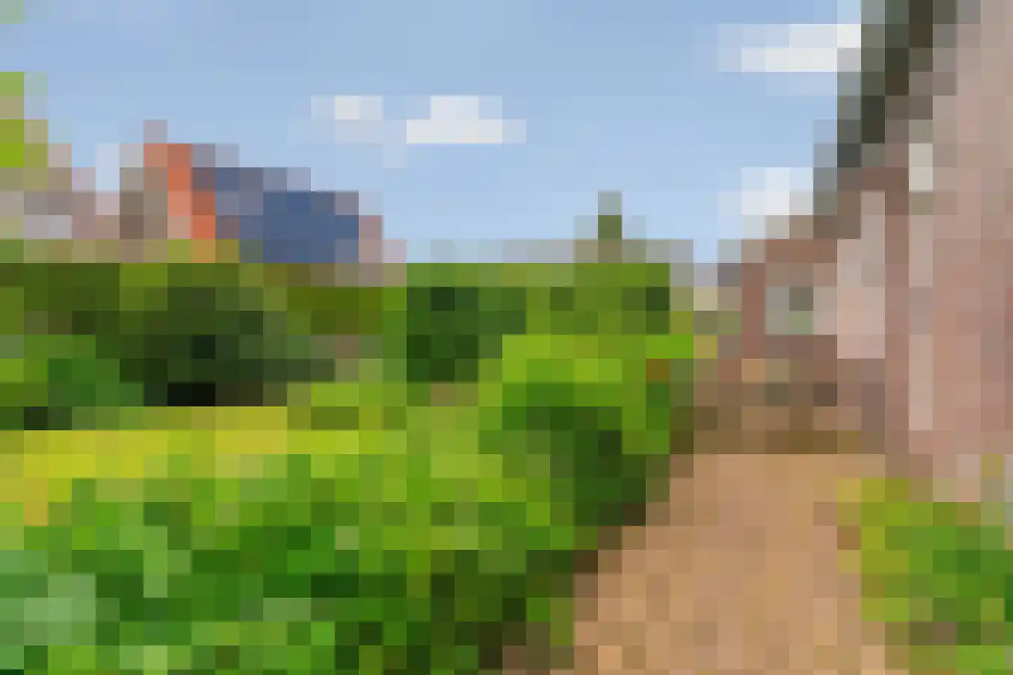 Kampstuk 12 Huissen thumbnail 58