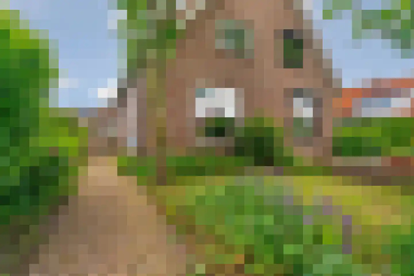 Kampstuk 12 Huissen thumbnail 59