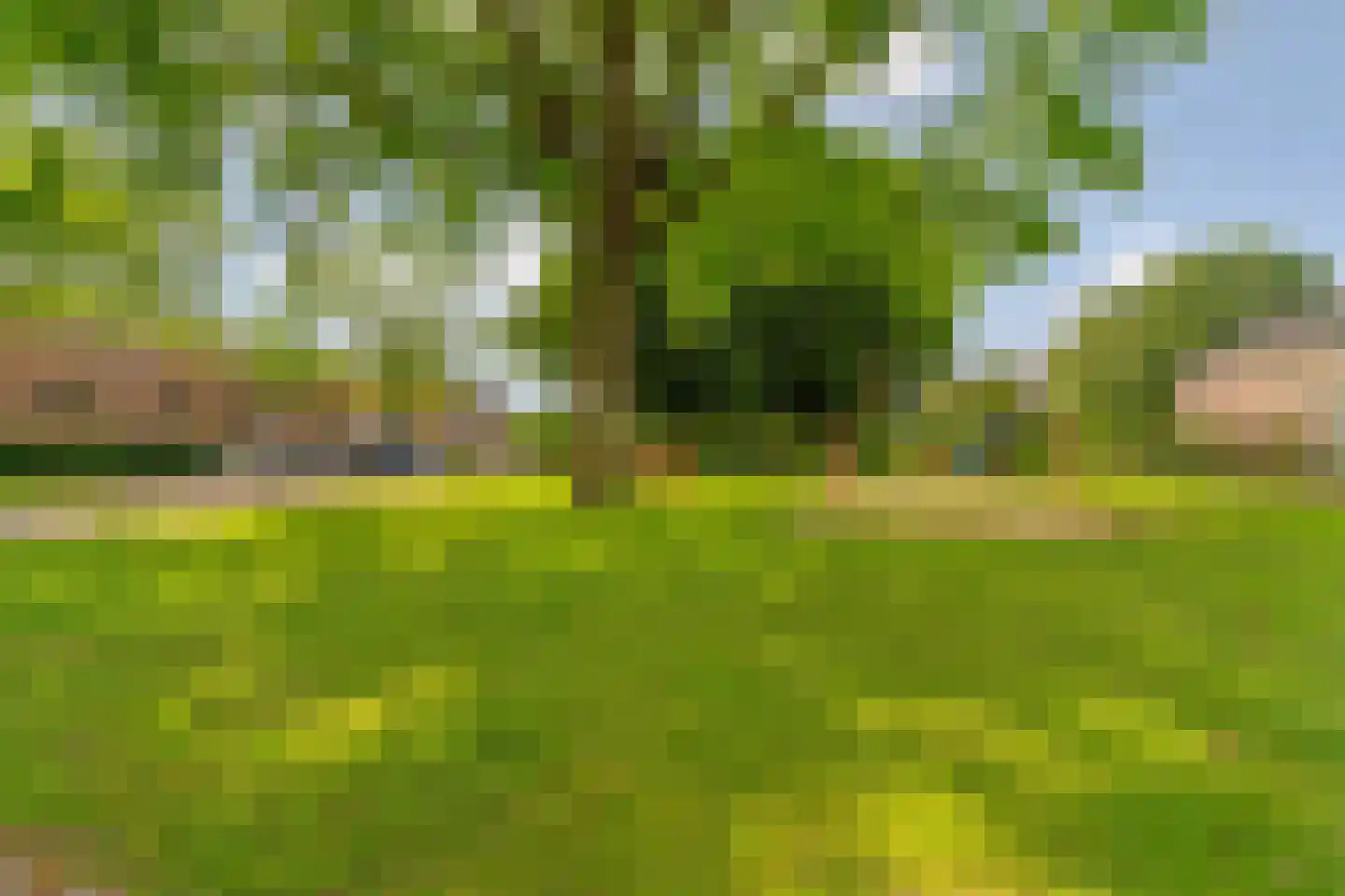 Kampstuk 12 Huissen thumbnail 64